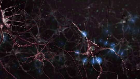 神经元细胞的动画。神经细胞在大脑中的活动视频素材模板下载