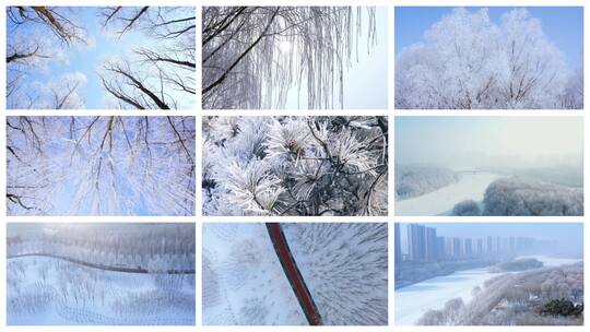 雾凇 冬天高清在线视频素材下载