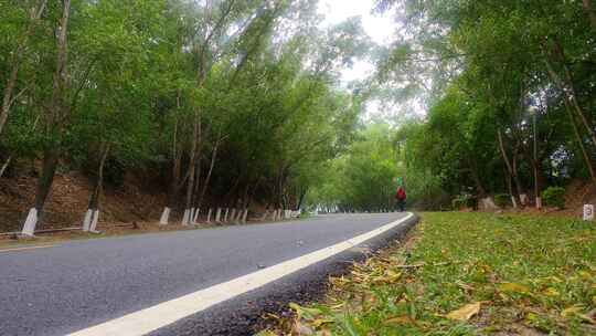 海南琼中五指山森林公路