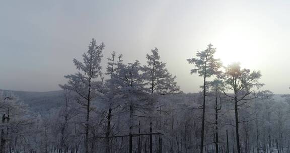 零下40度的低温航拍大兴安岭冰雪雾凇