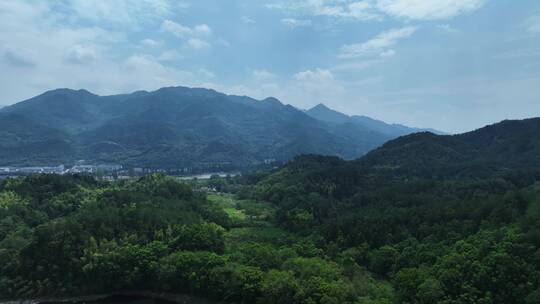 浙江青山