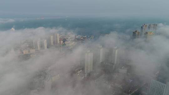 航拍青岛城市平流雾