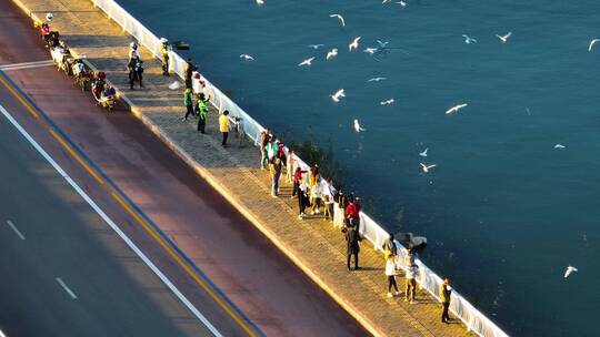 航拍喂海鸥的人群