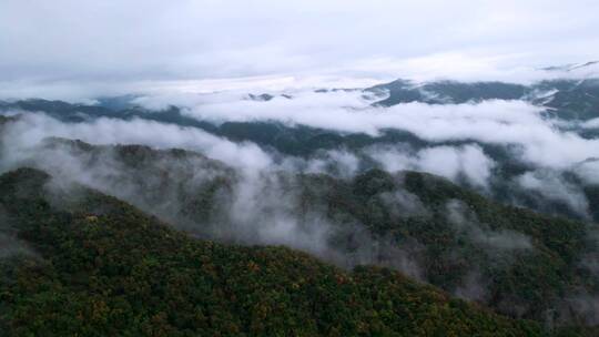 山川云海，云层迭起