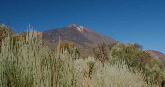 泰德，火山，特内里费岛，加那利群岛