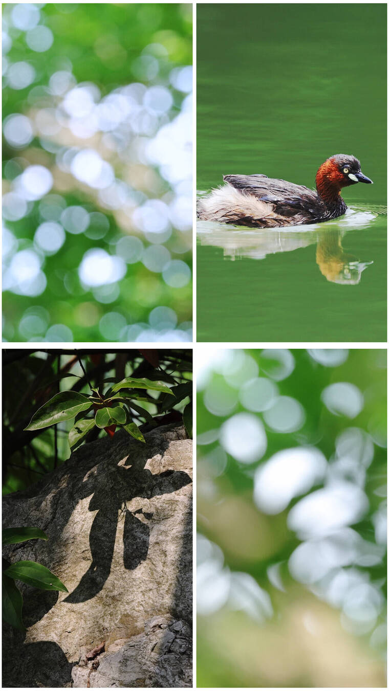 竖屏 夏日阳光光影光斑唯美小清新