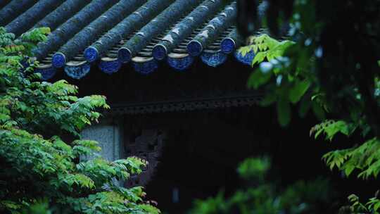 中式园林古建筑下雨屋檐滴水下雨