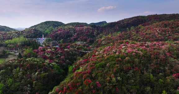 贵州毕节百里杜鹃景区航拍