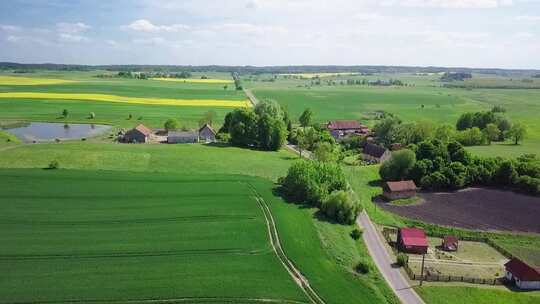 乡村航拍。波兰乡村。小村庄、田野和房屋无人机镜头。简单