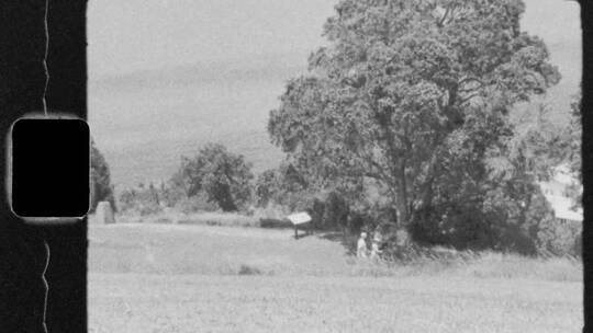 一对夫妇在田野里散步的黑白视频
