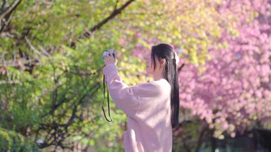 樱花树下拍照的少女