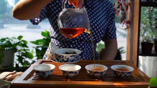 午后阳光美女茶艺师展示功夫茶冲泡红茶文化