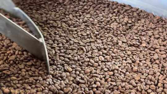 加工生咖啡豆