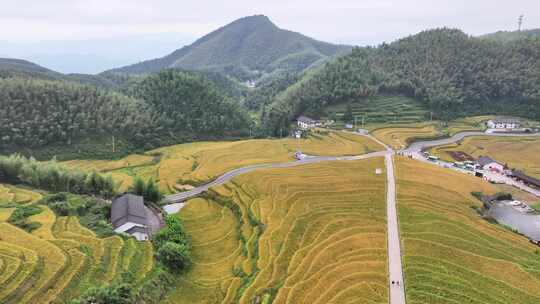 赣州崇义上堡梯田