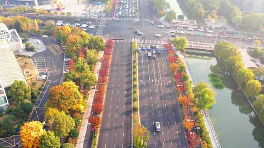 秋天的城市道路交通风景航拍