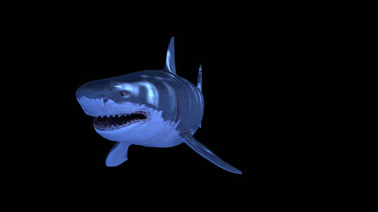 影视级三维鲨鱼水底动画合成特效 (4)