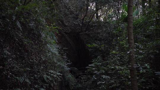 杭州宝石山景区蝙蝠洞