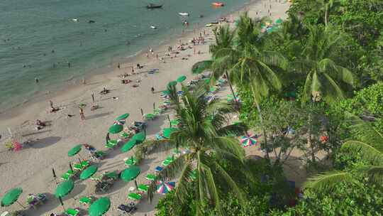 HDR泰国普吉岛芭东海滩棕榈航拍自然景观
