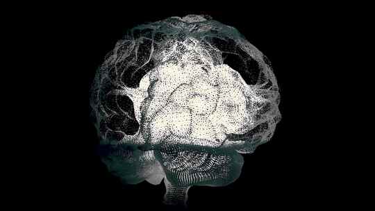 人类白色大脑在黑色，科学解剖背景。人脑就