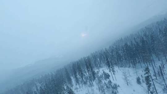 雪，冰冻，森林， Fpv