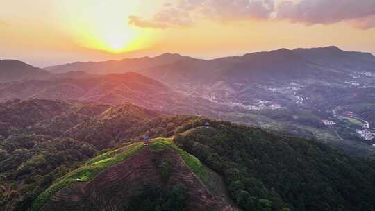 河源龙王嶂茶园日出航拍视频4K