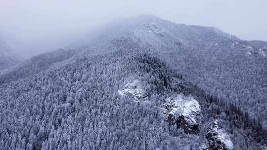 被雪覆盖的山林的无人机镜头