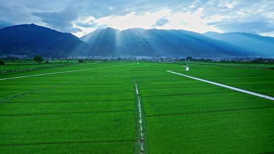 大理苍山耶稣光稻田景观