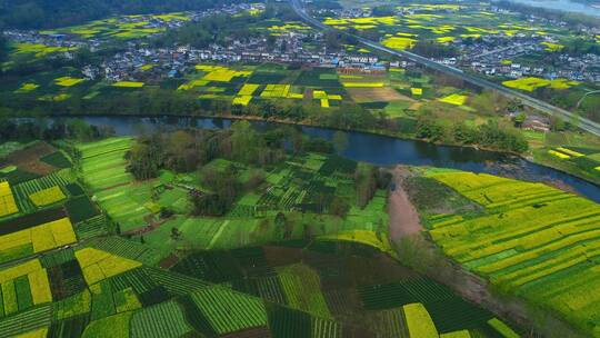 航拍美丽农村油菜花地中国四川新农村