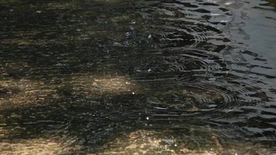 江南夏季雨季庭院雨滴升格空镜合集