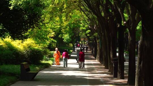 西安 街道 人文 绿化  美好生活