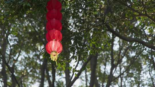 灯笼春节新年节日红灯笼纸灯笼元宵节