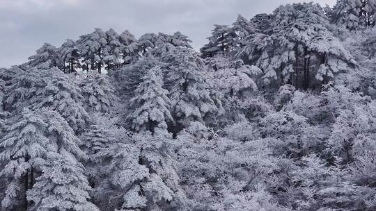 安徽黄山雪景视频素材模板下载