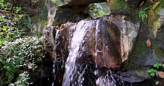 杭州永福寺清澈的瀑布水流慢镜头