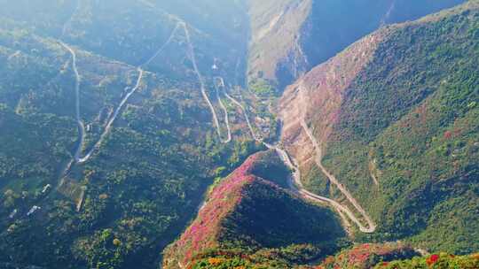 三峡红叶