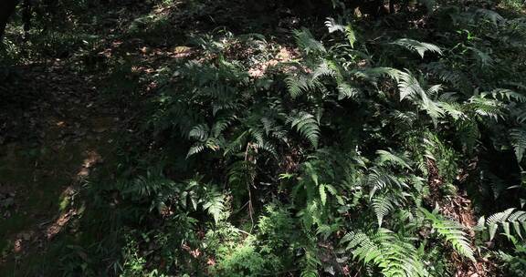 常熟虞山宝岩景区自然风光