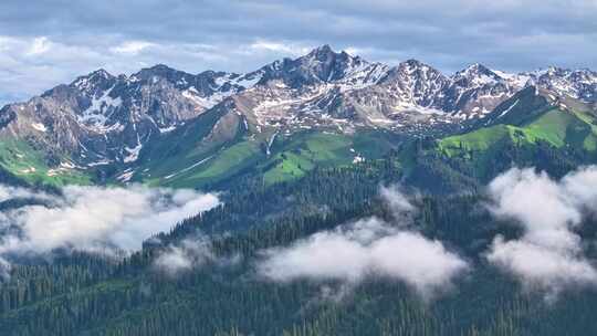 航拍雪山森林云雾