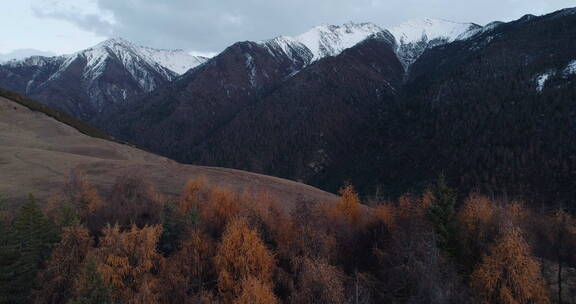 航拍四姑娘山地区秋季风景