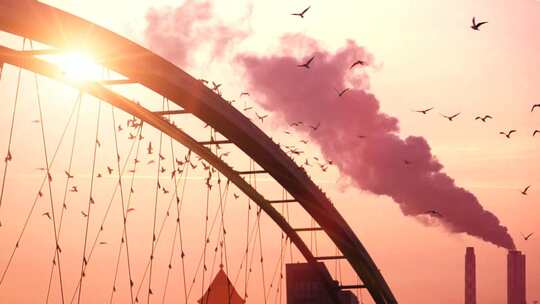 美丽日落黄昏桥上鸟群停歇