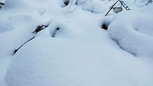 雪景、雪地步行