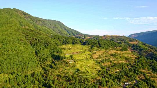 江西婺源江岭秋季梯田航拍风光