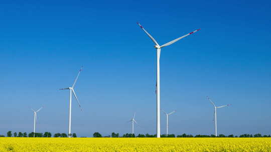 开花Colza田中带有风力涡轮机的农村景