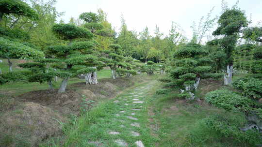 武汉江夏区藏龙岛国家湿地公园