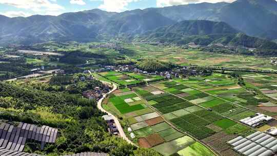 乡村振兴 美丽乡村 绿色稻田