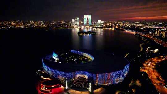 苏州文化艺术中心金鸡湖夜景灯光航拍