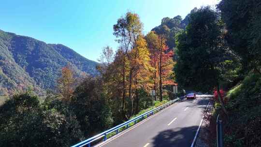 四明山 盘山公路 秋色 秋天 余姚