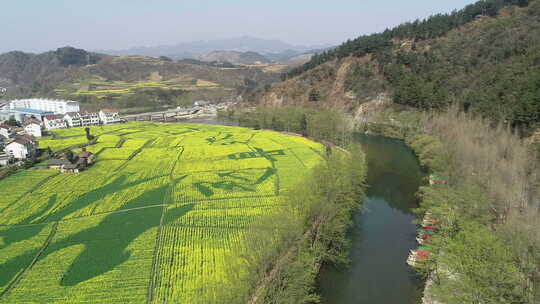 航拍油菜花河流