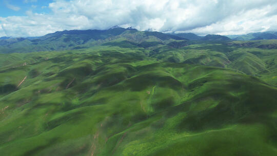 航拍新疆伊犁那拉提空中草原自然风光