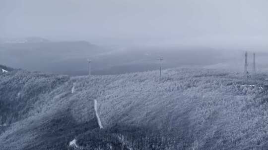 冬季雪山雾凇雪松树挂景观