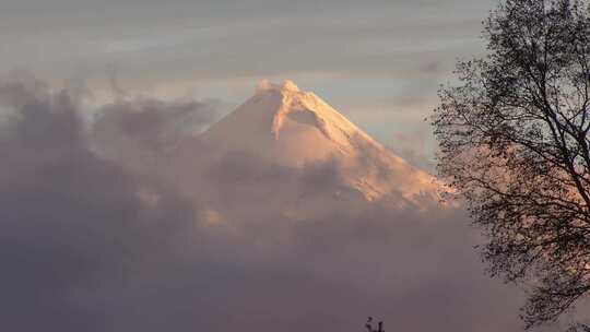 航拍特写被大雪覆盖的森林白茫茫的山峰山脉