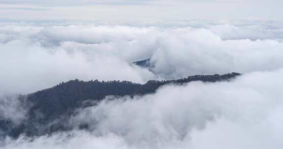 【8k】黄山云海延时